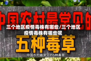 三个地区疫情毒株有哪些/三个地区疫情毒株有哪些呢