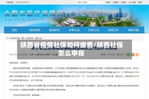 陕西省疫情社保如何缴费/陕西社保怎么申报