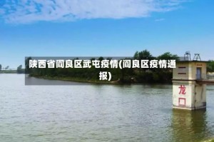 陕西省阎良区武屯疫情(阎良区疫情通报)