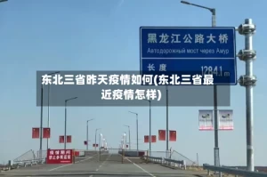 东北三省昨天疫情如何(东北三省最近疫情怎样)
