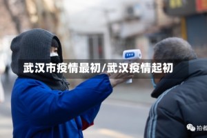 武汉市疫情最初/武汉疫情起初