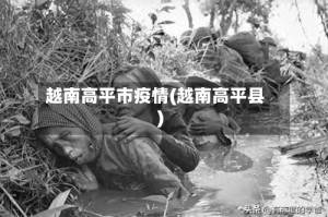 越南高平市疫情(越南高平县)