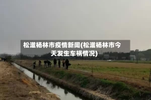 松滋杨林市疫情新闻(松滋杨林市今天发生车祸情况)