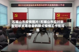 石嘴山市疫情图片/石嘴山市应对新型冠状病毒感染的肺炎疫情工作指挥部