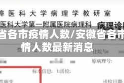 安徽省各市疫情人数/安徽省各市疫情人数最新消息
