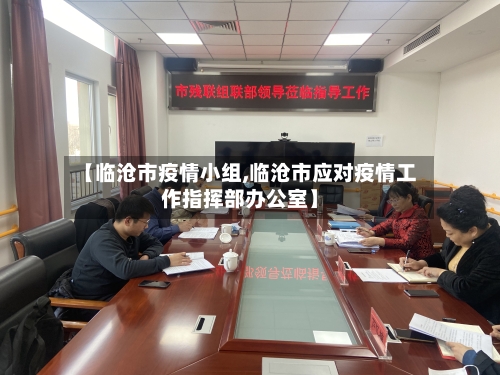 【临沧市疫情小组,临沧市应对疫情工作指挥部办公室】-第2张图片