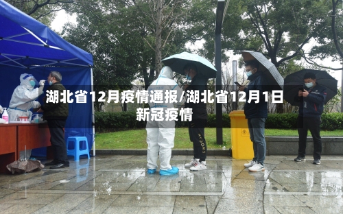 湖北省12月疫情通报/湖北省12月1日新冠疫情-第1张图片