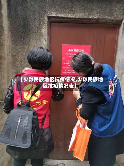 【少数民族地区抗疫情况,少数民族地区抗疫情况表】-第2张图片