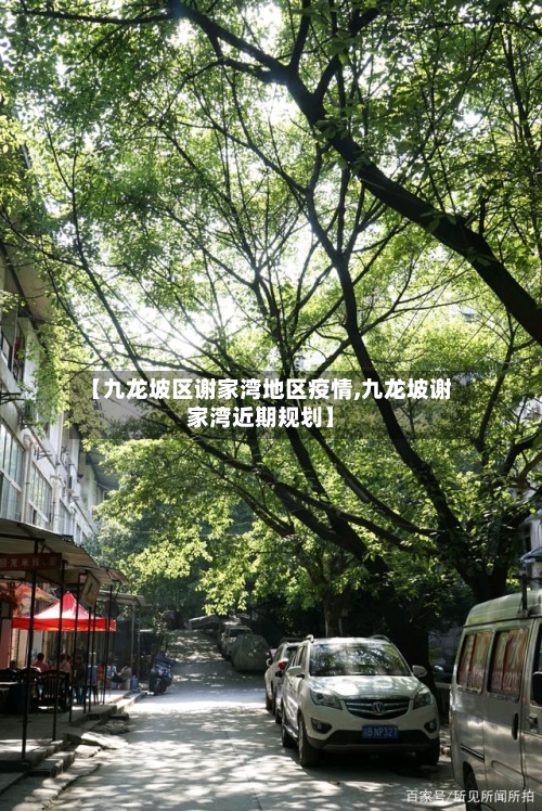 【九龙坡区谢家湾地区疫情,九龙坡谢家湾近期规划】-第2张图片