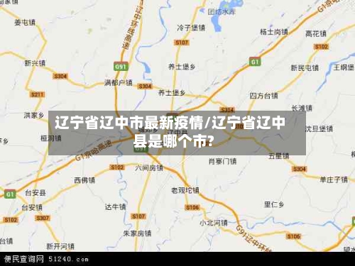 辽宁省辽中市最新疫情/辽宁省辽中县是哪个市?-第1张图片