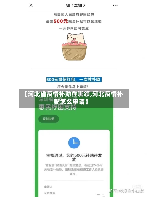 【河北省疫情补助在哪领,河北疫情补贴怎么申请】-第2张图片