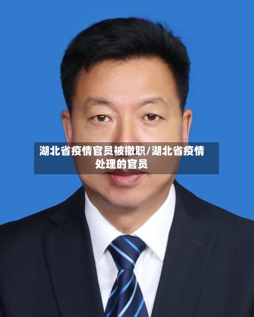 湖北省疫情官员被撤职/湖北省疫情处理的官员-第1张图片