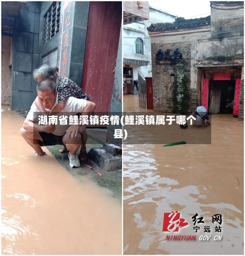 湖南省鲤溪镇疫情(鲤溪镇属于哪个县)-第2张图片