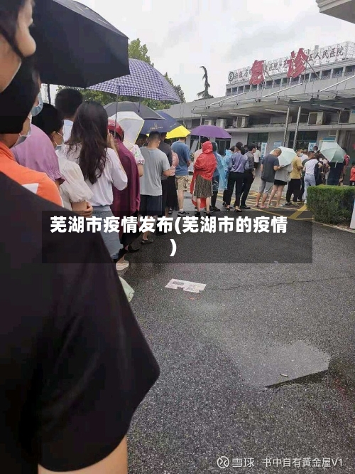 芜湖市疫情发布(芜湖市的疫情)-第2张图片