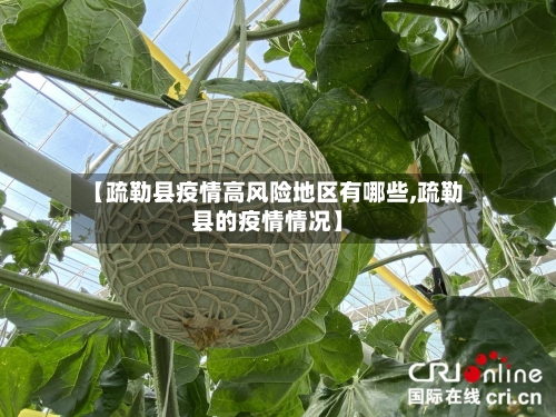 【疏勒县疫情高风险地区有哪些,疏勒县的疫情情况】-第2张图片