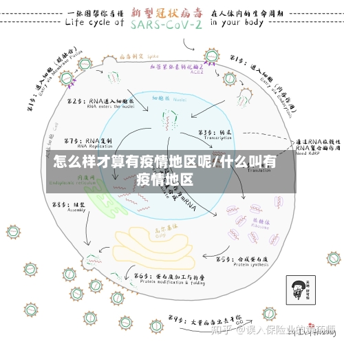 怎么样才算有疫情地区呢/什么叫有疫情地区-第1张图片