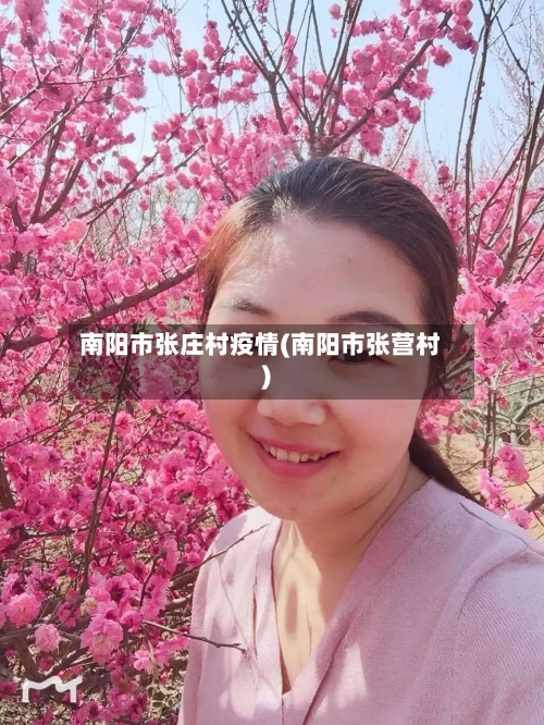南阳市张庄村疫情(南阳市张营村)-第1张图片