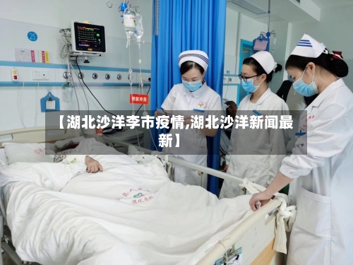 【湖北沙洋李市疫情,湖北沙洋新闻最新】-第2张图片