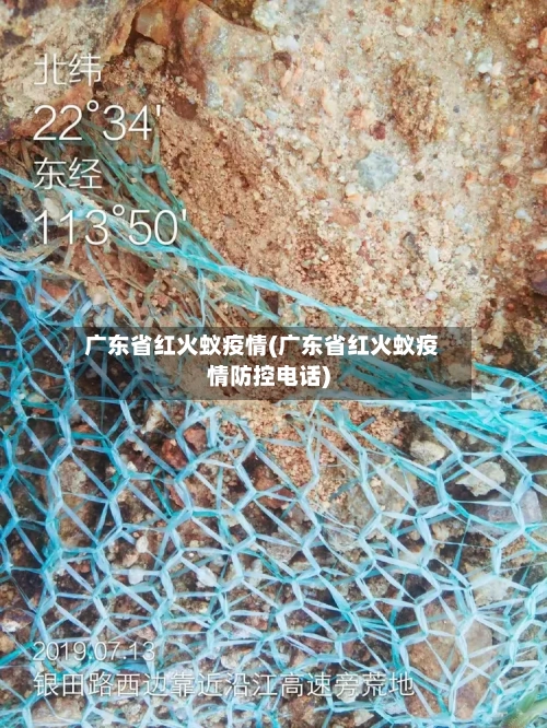广东省红火蚁疫情(广东省红火蚁疫情防控电话)-第1张图片